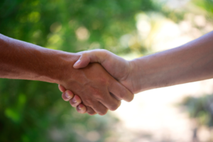 2 people shaking hands